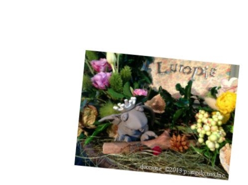 lutopie_doccione